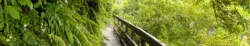 Neuseeland - Wilkies Pools Loop - Ridge Loop - Waingongoro Track