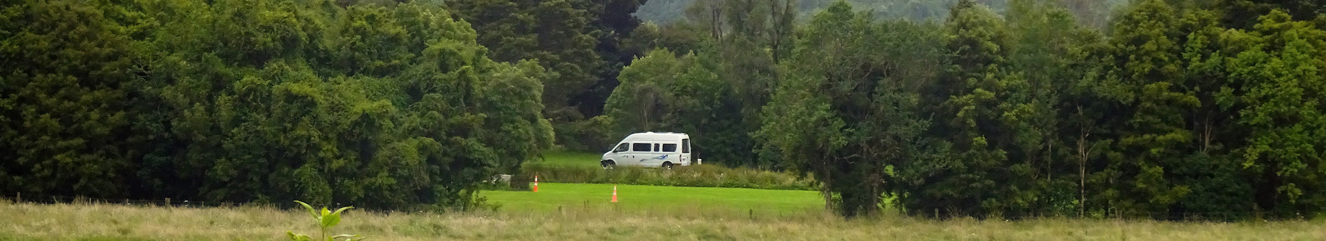 Neuseeland – Peel Forest – Big Tree Loop