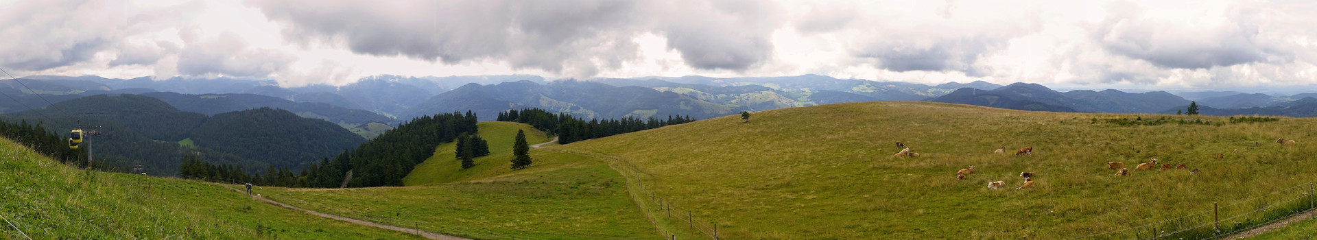 Belchen – Belchensteig