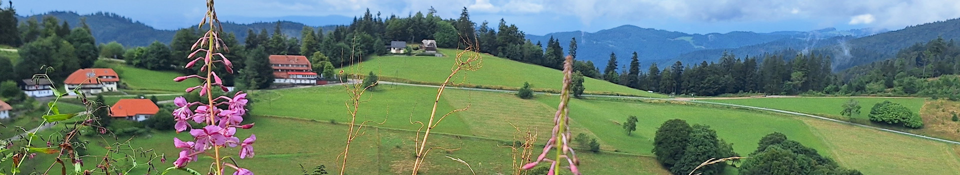 Nonnenmattweiher – Besucherbergwerk Finstergrund