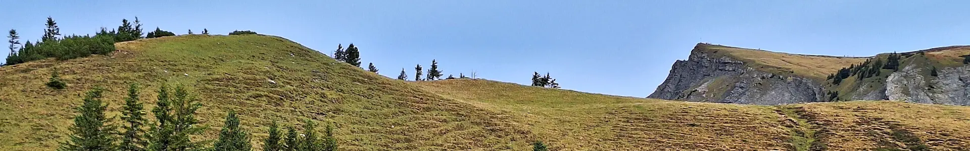 Bad Laterns – Freschenhaus