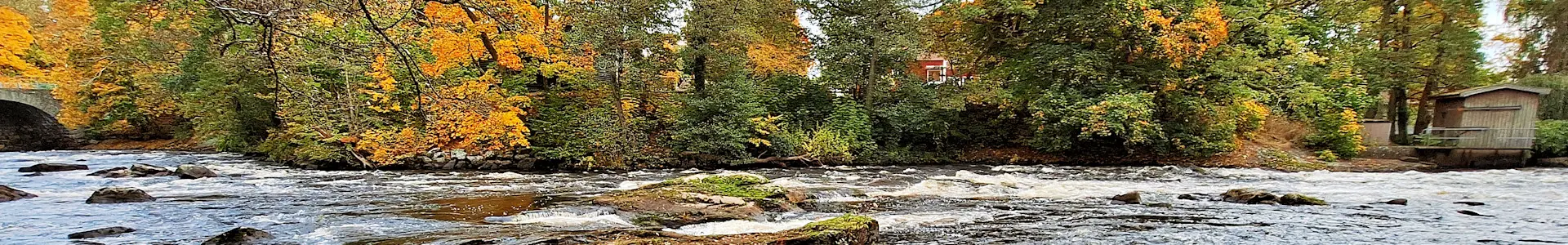 Kungsforsen – Mörrumsån
