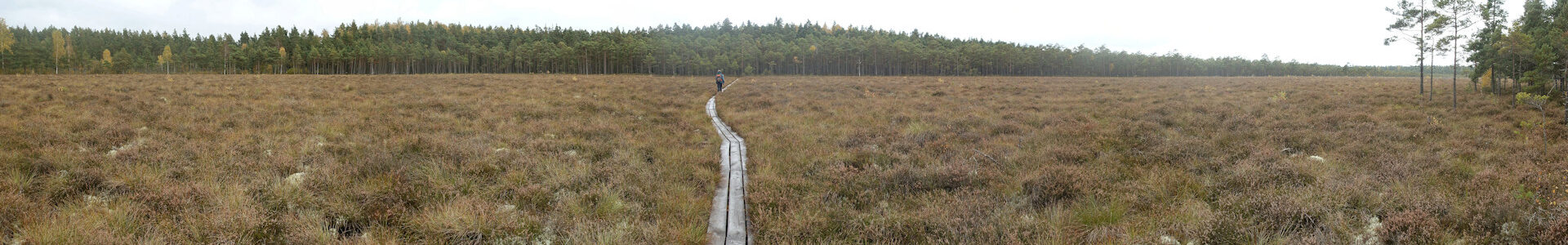 Ulvö – Toftåsa myr