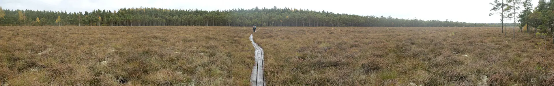 Ulvö – Toftåsa myr