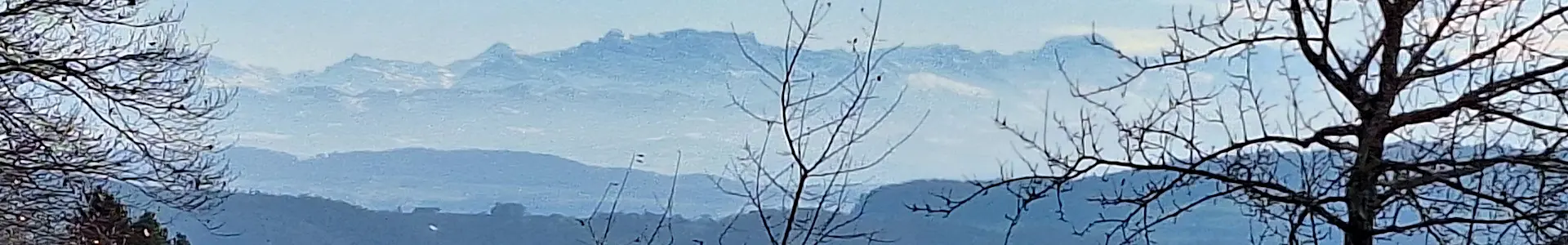 Bankholzen – Schienerberg