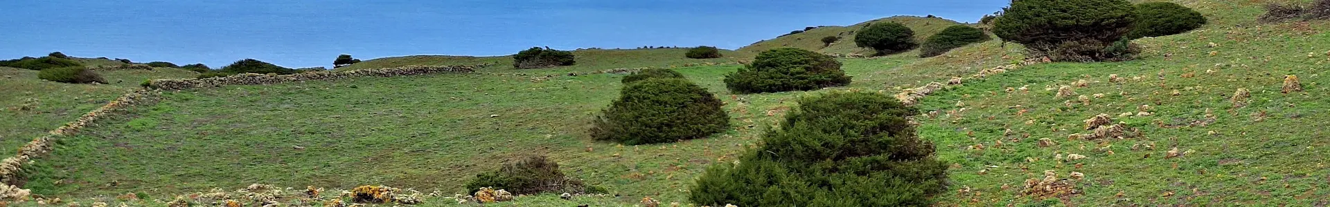Mirador de Lomo Negro – El Sabinar – Ermita Virgen de los Reyes
