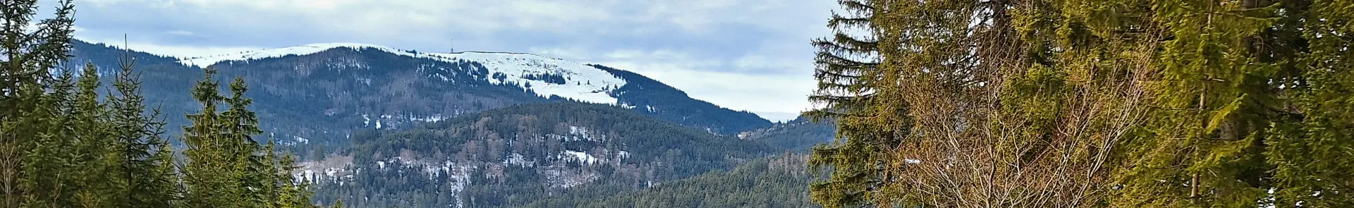 Hinterzarten – Mathisleweiher