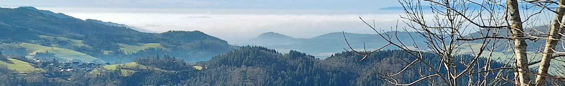 Freiburg – Kybfelsen