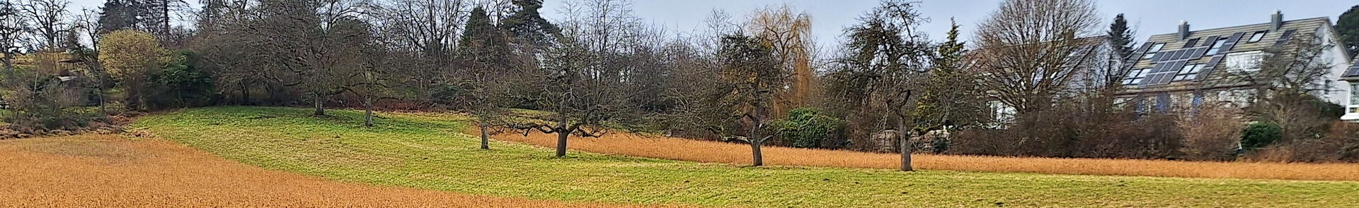 Konstanz – Dingelsdorfer Seen