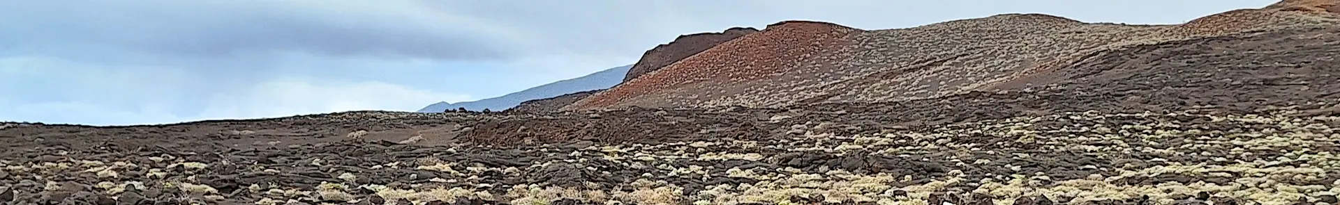 La Restinga – Punta de los Saltos