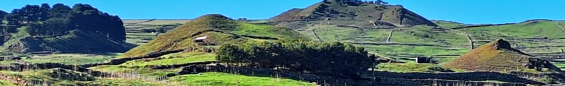 San Andrés – Meseta de Nisdafe – Mirador de Jinama