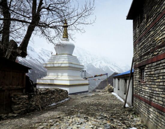 Ghyaru.