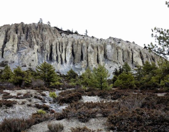 Auf dem Weg nach Braga.