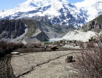Bauer beim Pflügen.