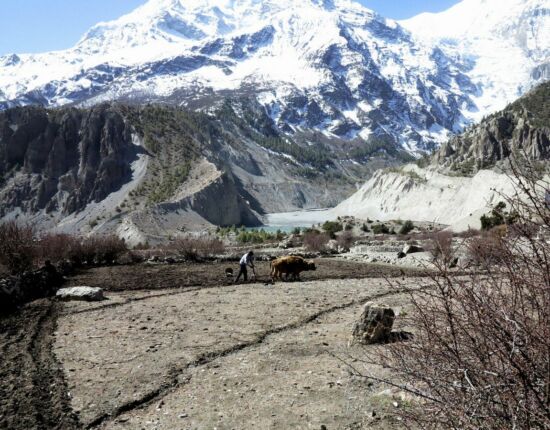 Bauer beim Pflügen.