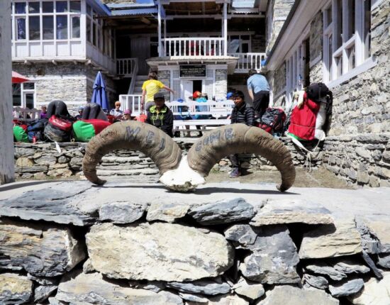 Shri Kharka - Hotel Tilicho Peak