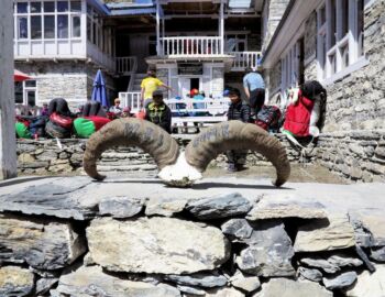 Shri Kharka - Hotel Tilicho Peak