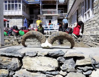 Shri Kharka - Hotel Tilicho Peak