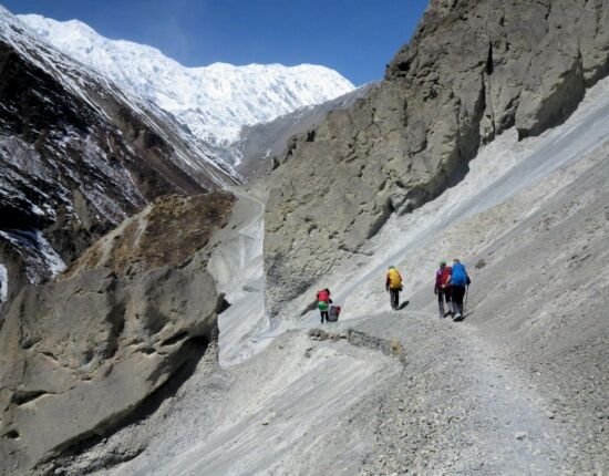 Der Pfad ist mit Zweigen stabilisiert.