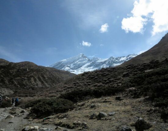 Auf dem Weg aufwärts.