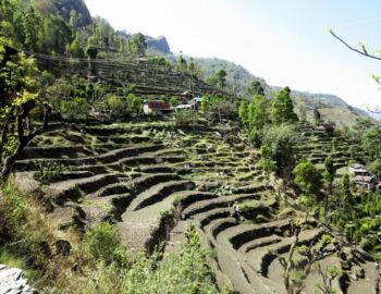 Auf dem Weg nach Sikha.