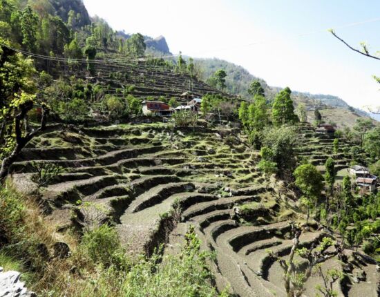 Auf dem Weg nach Sikha.
