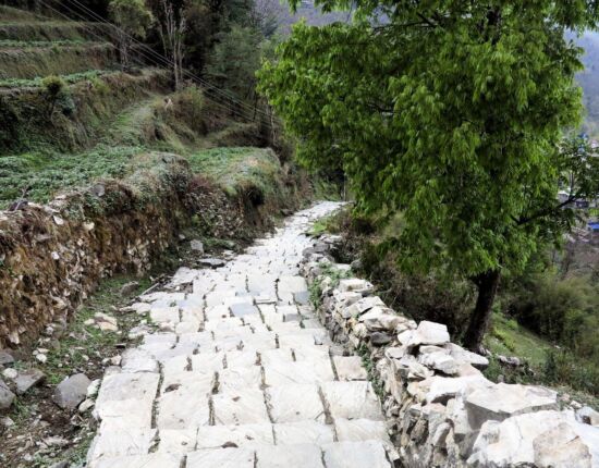 Auf dem Weg nach Sikha.