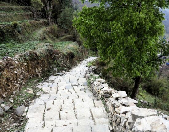 Auf dem Weg nach Sikha.