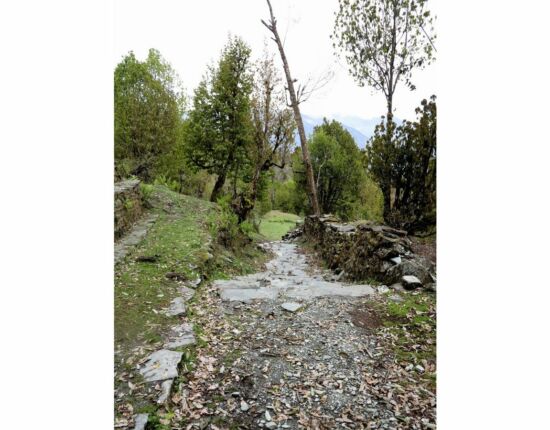 Aufstieg nach Ghorepani.