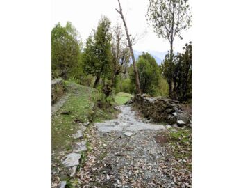 Aufstieg nach Ghorepani.