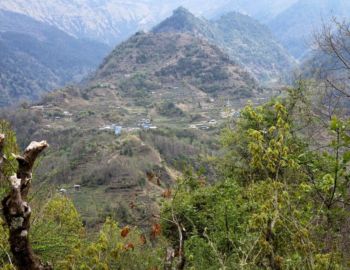 Aufstieg nach Ghorepani.