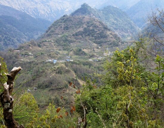 Aufstieg nach Ghorepani.