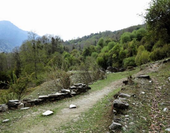 Aufstieg nach Ghorepani.