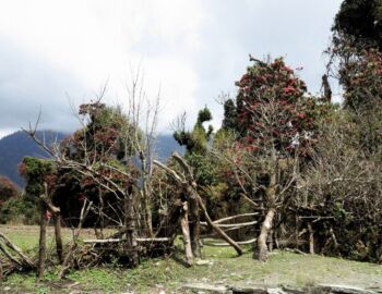 Aufstieg nach Ghorepani.