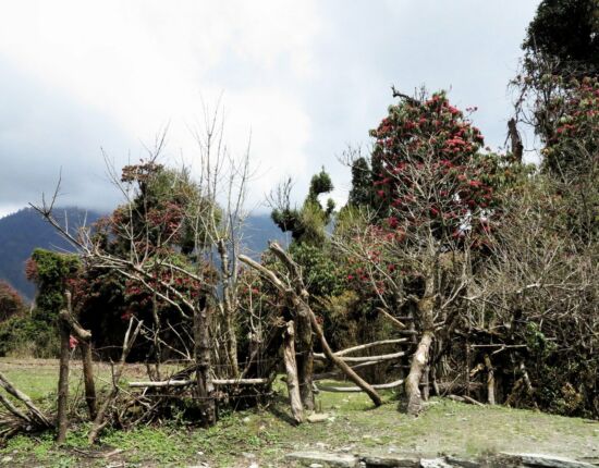 Aufstieg nach Ghorepani.