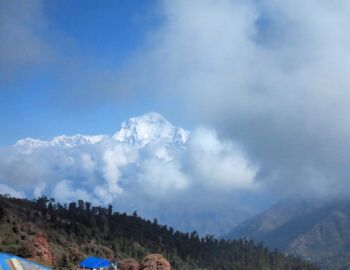 Zurück in Ghorepani.