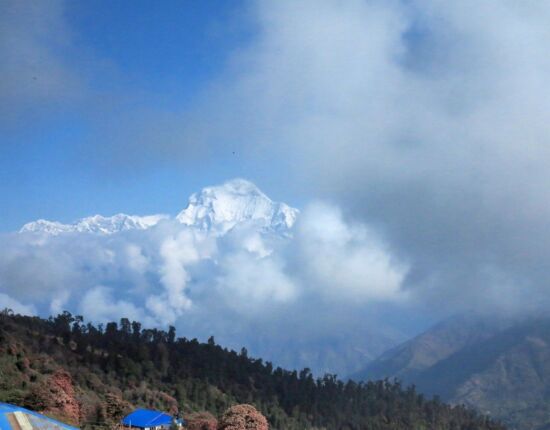 Zurück in Ghorepani.