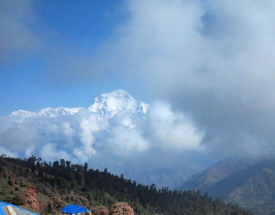 Zurück in Ghorepani.