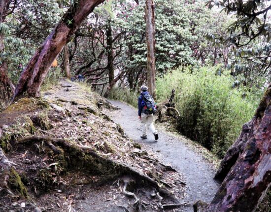 Abstieg im Regen nach Ghandruk.