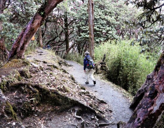 Abstieg im Regen nach Ghandruk.