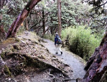 Abstieg im Regen nach Ghandruk.