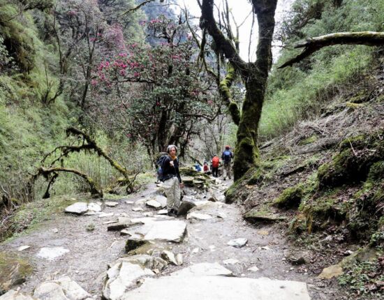 Abstieg im Regen nach Ghandruk.