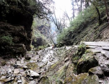Abstieg im Regen nach Ghandruk.