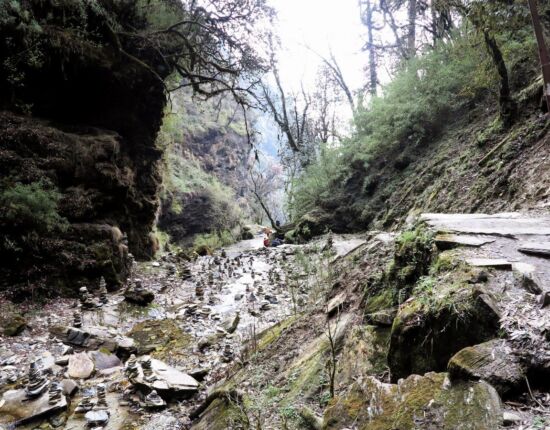 Abstieg im Regen nach Ghandruk.