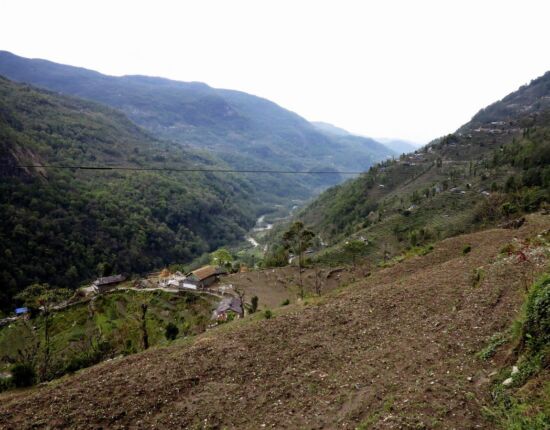 ... aber wir wandern nach Nayapul.