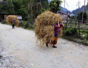 Auf dem Weg nach Nayapul.