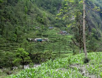 Auf dem Weg nach Nayapul.