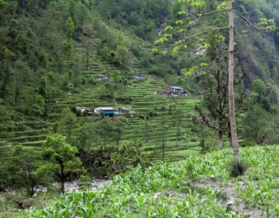 Auf dem Weg nach Nayapul.