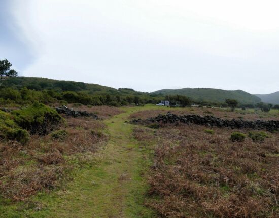 Landschaft von Fanal.