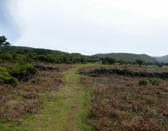 Landschaft von Fanal.